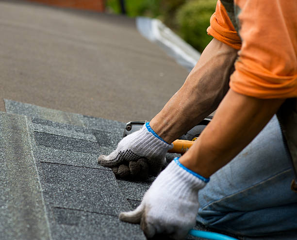 Best Roof Maintenance Services  in Greenbriar, VA